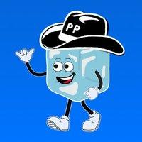 PlungePalz Logo